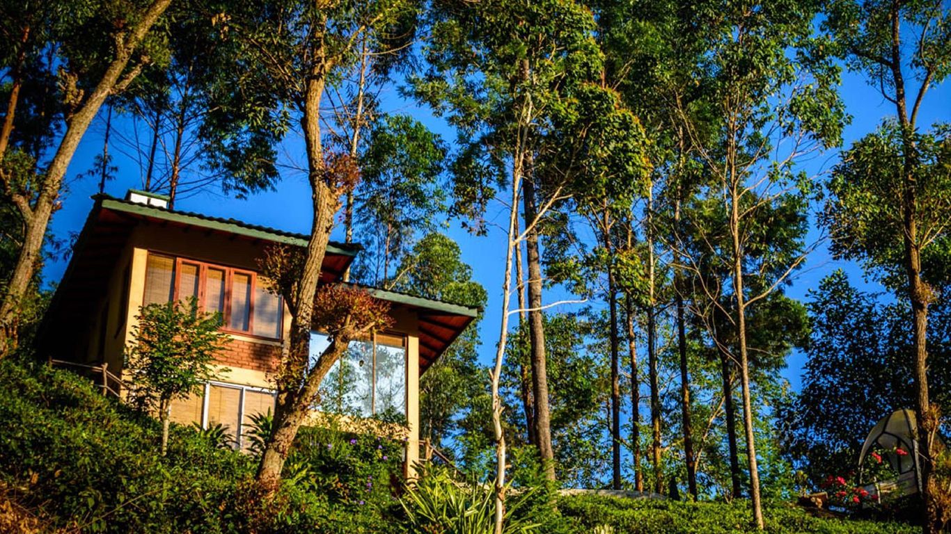 The Tea Cottage Resort & Spa