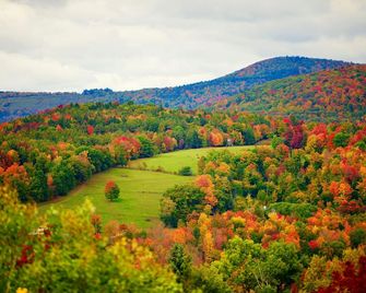 Mountain Treasure Bed and Breakfast - Maplecrest - Extérieur
