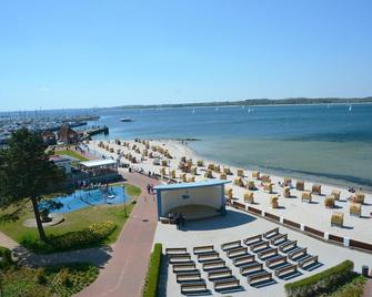 Brn Herzmuschel - Laboe - Strand