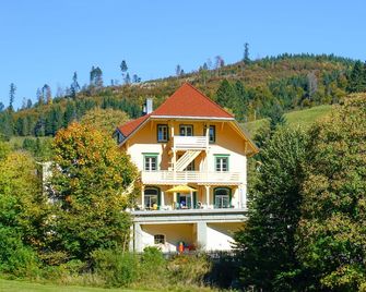 Naturparkhotel Grüner Baum - Todtnau