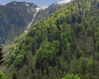 Fora Pansiyon - Ayder - Vista esterna
