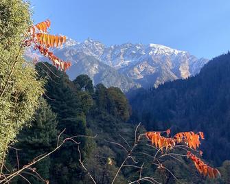 Guaranteed ! A Home Away From Home and Into The Wild ! - Kasol