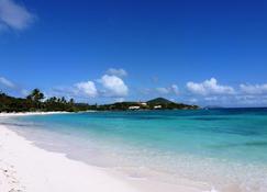 Sapphire Village Condos - Saint Thomas Island - Beach