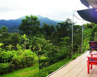 Wompoo Eco Retreat - Rambutan Bungalow with views - Cow Bay - Balcony