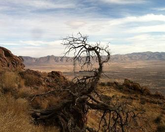 Astronomers Birders Hikers Portal Rodeo Lodging, Fly In Option! 4 Bedrooms - Rodeo - Sala de estar