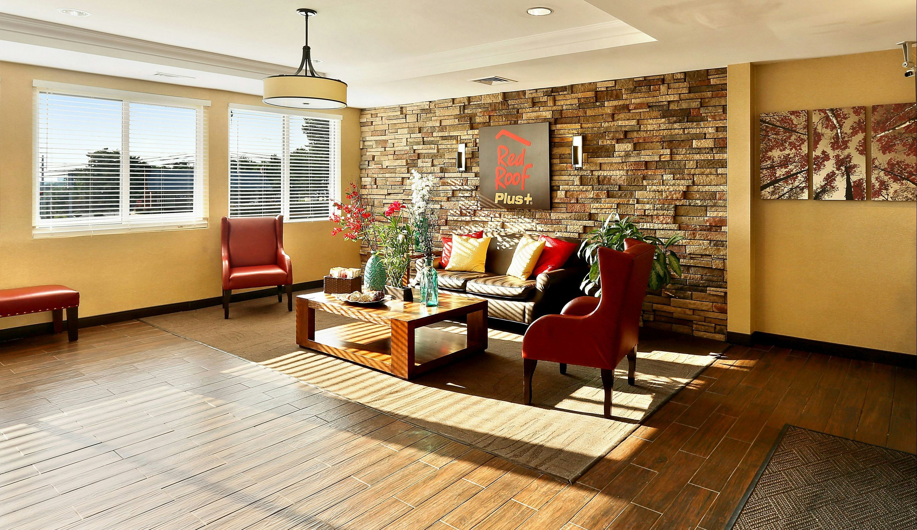 Red Roof Inn Plus+ Washington DC Rockville - Rockville - Lobby