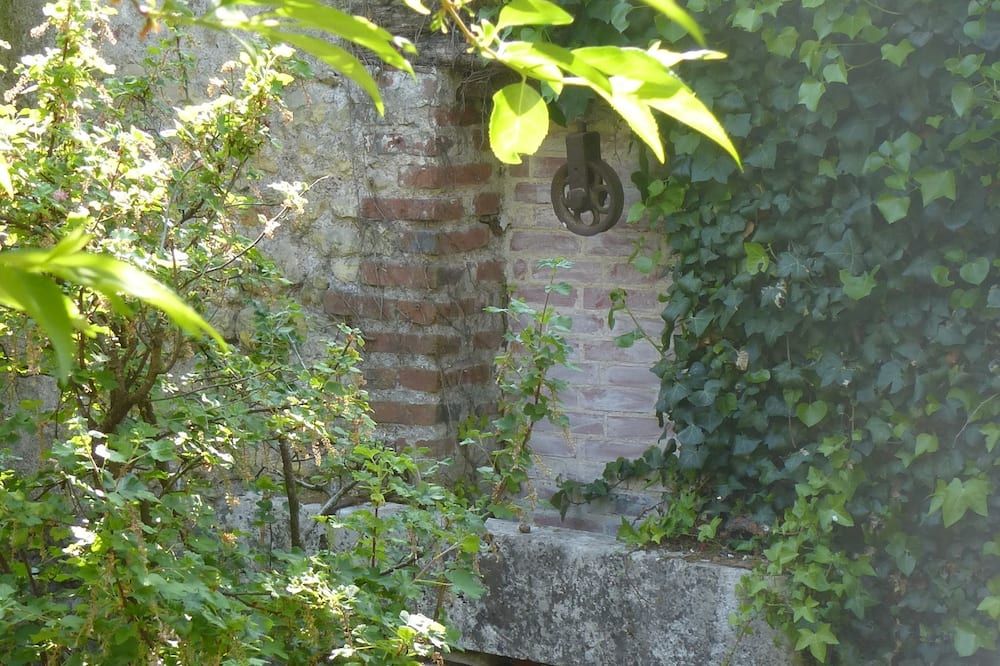 La Petite Vigne - Amboise - Outdoors view