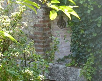 La Petite Vigne - Amboise - Outdoors view