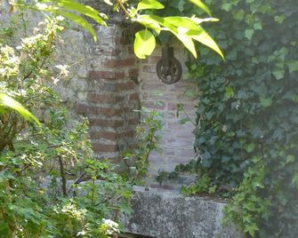 La Petite Vigne - Amboise - Outdoors view