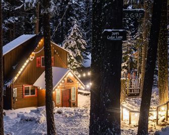 Walk to Beach, Dogs Ok, Hot Tub -Salty Bear Cabin - Homewood - Building