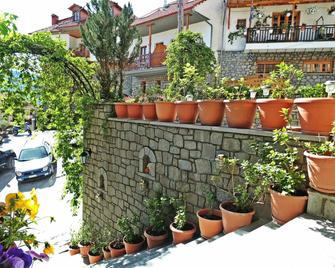 Asteri Metsovou - Metsovo