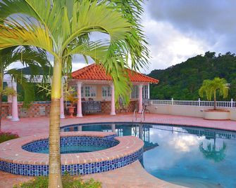 Tropical Lagoon Resort - Port Antonio - Piscine