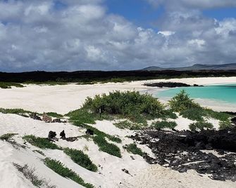 Galapagos Eco Friendly - Puerto Baquerizo Moreno - Strand