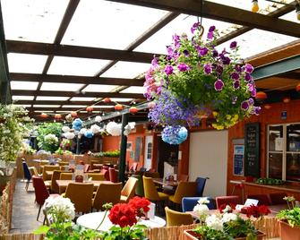 Feriensiedlung Schwalbennest - Dranske - Restaurant