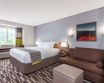Microtel Inn & Suites by Wyndham New Martinsville - New Martinsville - Bedroom