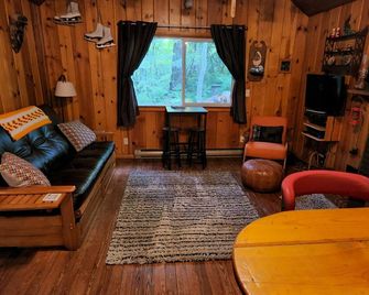 Cozy cabin at the lake - Loon Lake - Living room