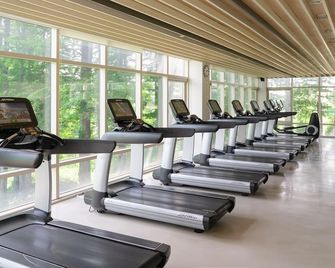 Mayfield Hotel & Resort Seoul - Seúl - Gimnasio