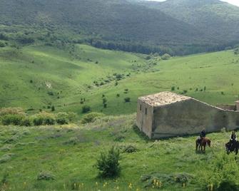 Azienda Agricola Traina - Prizzi