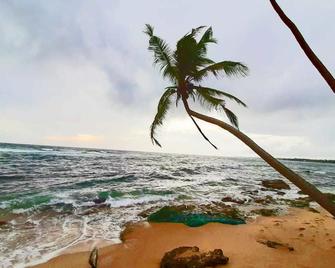 Akurala Beach Boutique Resort - Hikkaduwa - Plaj