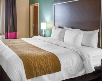 Comfort Inn & Suites - San Marcos - Habitación