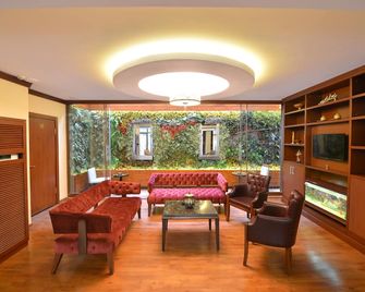 Golden Siyav Hotel - איסטנבול - טרקלין