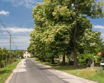 Bordoma Falusi Vendeghaz - Fecskefarkidűlő - Outdoors view