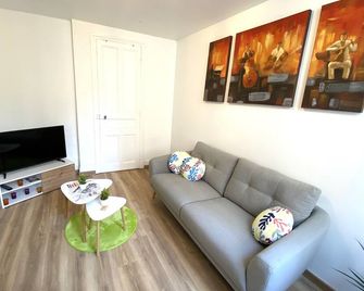 Appartement de Caractère Tonnerre - Tonnerre - Salon