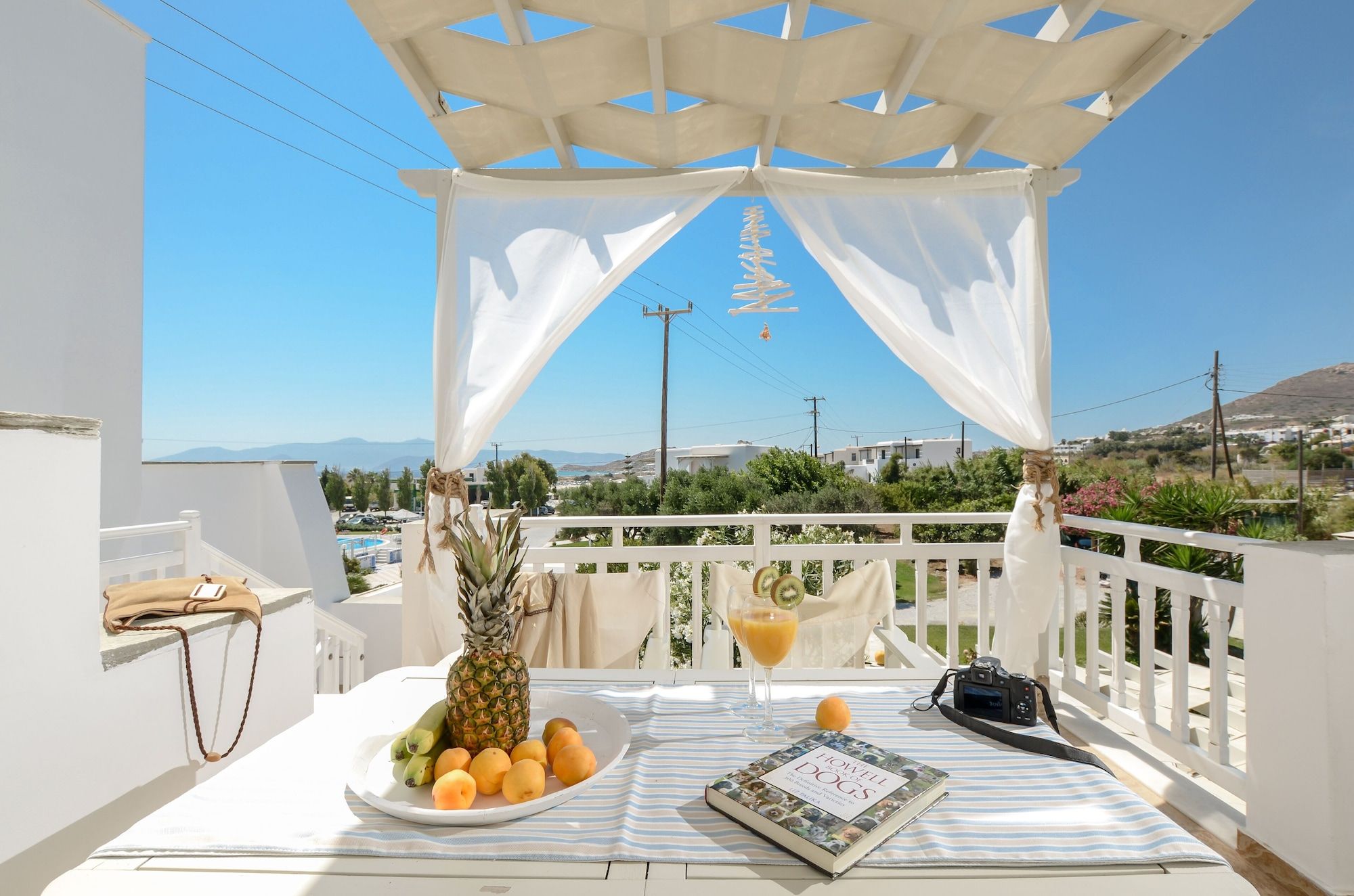 Birikos Hotel & Suites - אגיוס פרוקופיוס - מרפסת