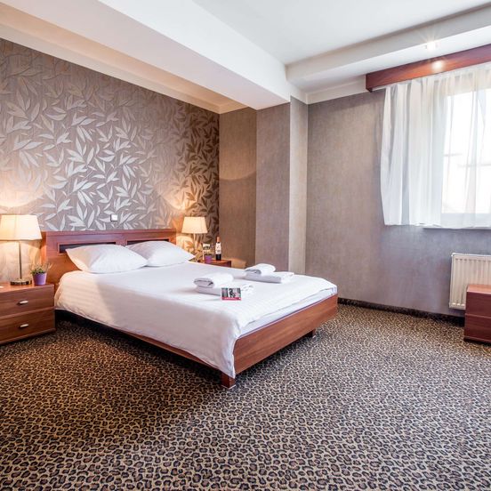Hotel Diament Vacanza Katowice - Siemianowice image 1