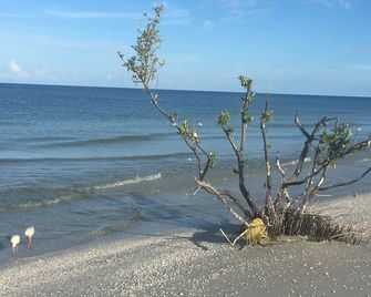Paradise-Anglers Cove Waterfront Designer Condo - Marco Island - Strand