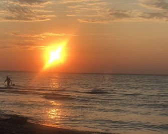 Miller Beach Wooded Acre Near Chicago-2 Blocks to the Beach - Gary - Beach