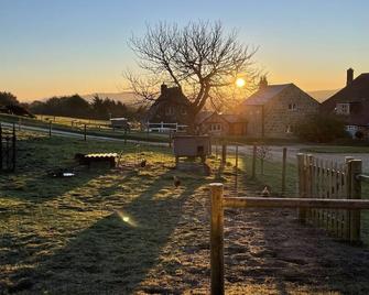 Bike Shed, 1-bed Cottage, Sleeps 2, Pet Friendly - Newport