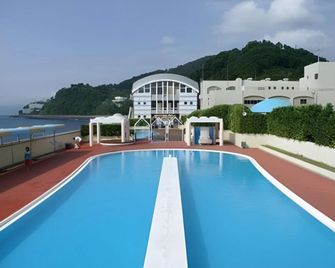 Yugawara Bay Mandarin House - Yugawara - Piscina