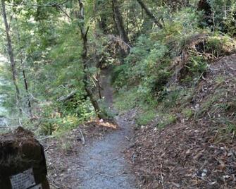 \'Twin Trees\' Cabin River Access In Redwoods WiFi\n\n - Garberville