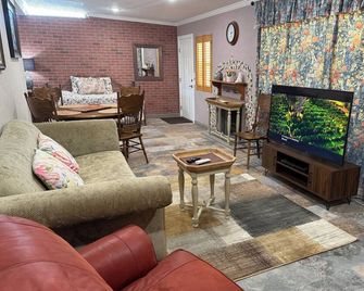 Private and safe house in tranquil Borrego Springs with AC and fenced yard - Borrego Springs - Living room