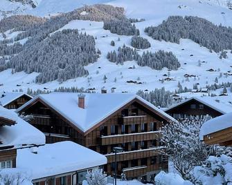 Apart Hotel Adelboden am Dorfplatz - Adelboden - Gebouw