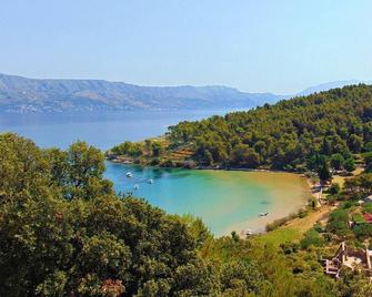 Apartments by the sea Postira, Brac - 14822 - Postira