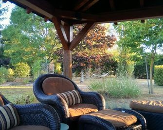 La Demalerie - Cheverny - Patio