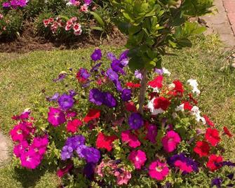 Cathy's Guest House - Cradock