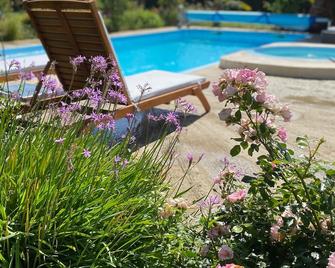 Gray flamingo house - Montfrin - Piscina