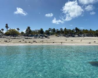 Anna's Hidden Gem - Waterfront Home - Farmer’s Hill - Playa