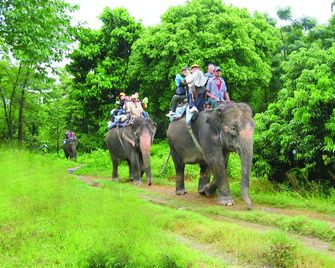 Rainbow Safari Resort - Sauraha