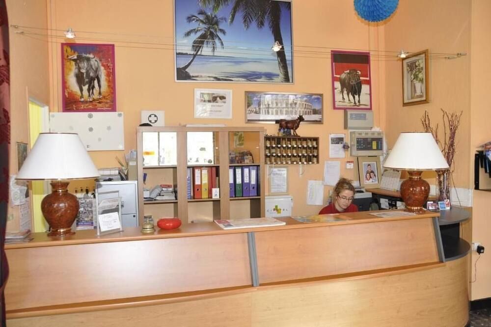 Sarl Hotel Cesar - נים - דלפק קבלה