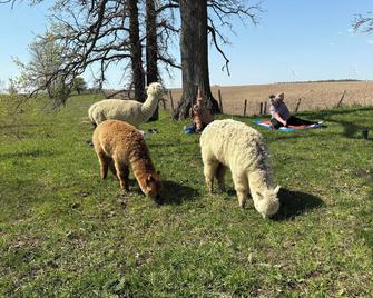 Enjoy a Rustic Farm Stay on our Agri-Tourism & Wellness Farm! Cozy Space for two - Strathroy