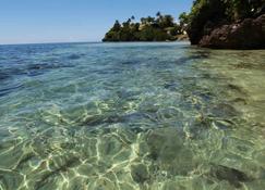 Dapitan Beach Villa: beach, silence, peace, comfort - Dapitan - Strand