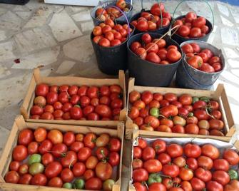 Quiet holiday home 10 kilometer from the Atlantic - Cercal (Setubal) - Restaurant