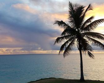 Mangoville Near Dover Beach - Oistins - Beach