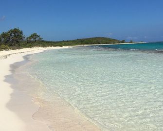 Seaside Jamaica Cottage with Lush Garden, Hammock, 1 minute Walk to Beach! - Duncans - Plage