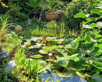 Ferienwohnung Waldblick - Bad Liebenstein - Buiten zicht