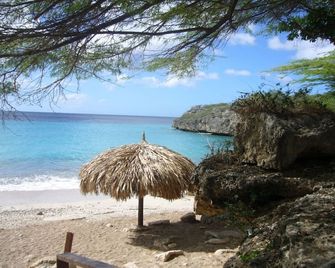 Original holiday apartment covered with palm leaves - Barber - Playa